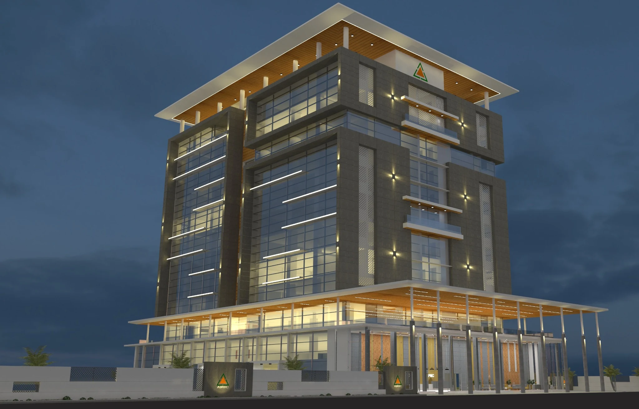 APIIC gallery image 2