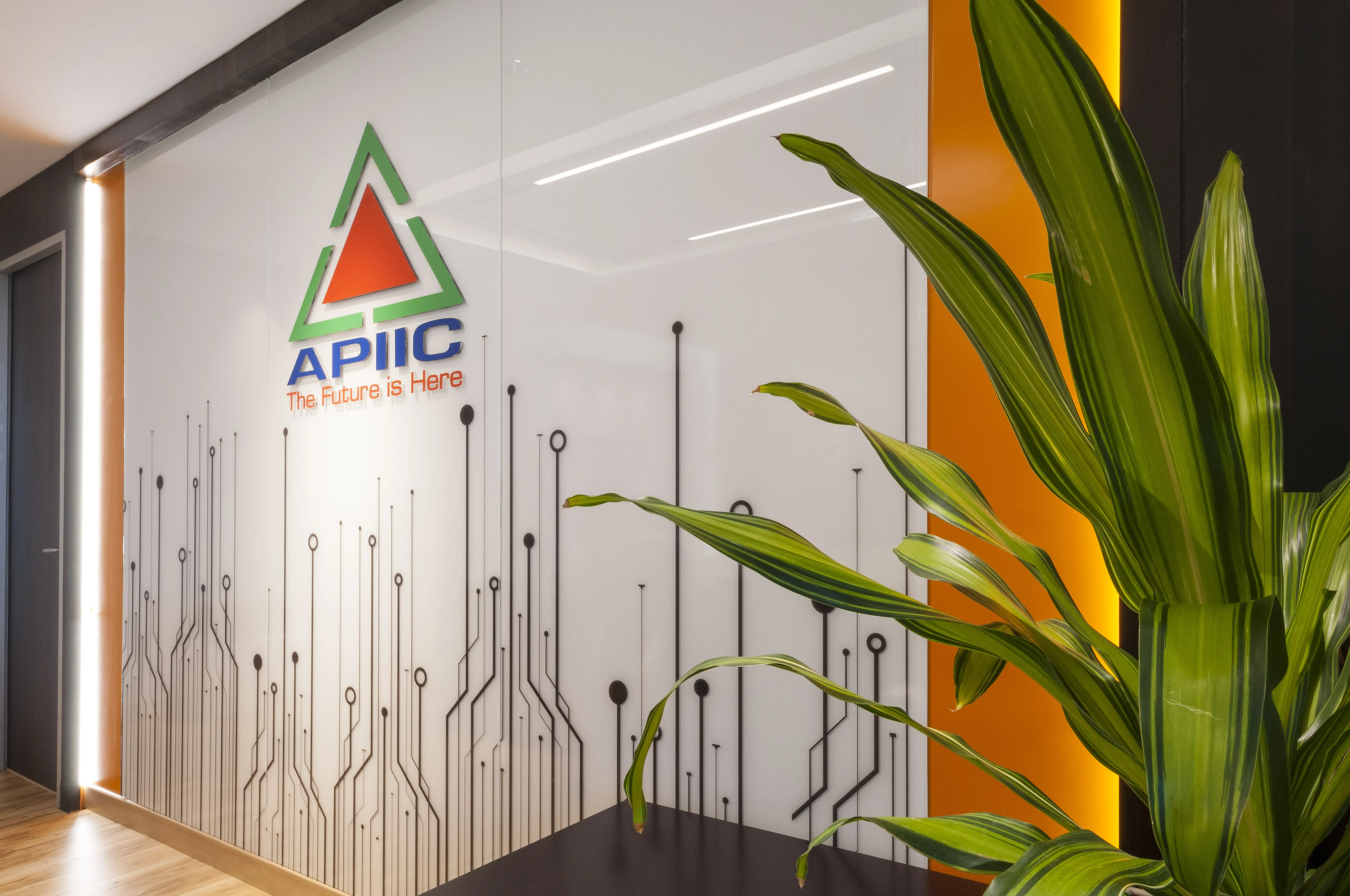 APIIC gallery image 12