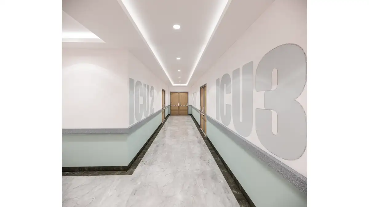 NZB Produce gallery image 13