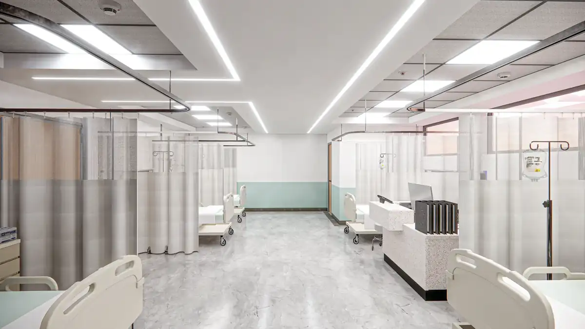 NZB Produce gallery image 15